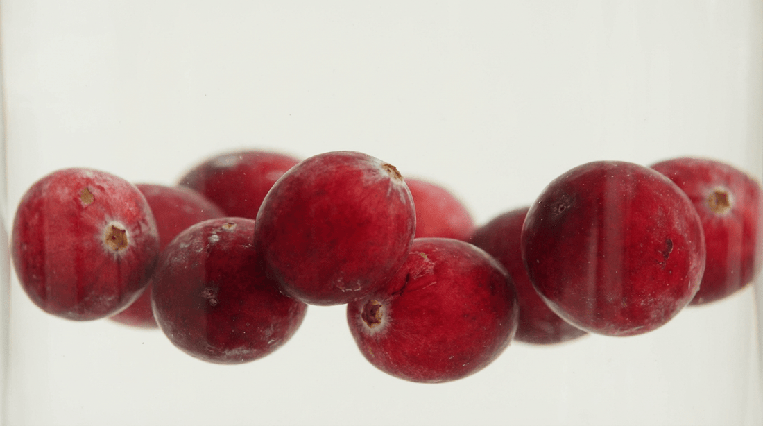 Cranberry for UTIs: What It Helps With, What It Doesn’t, and Why Quality Matters - Bladder Rx Reset